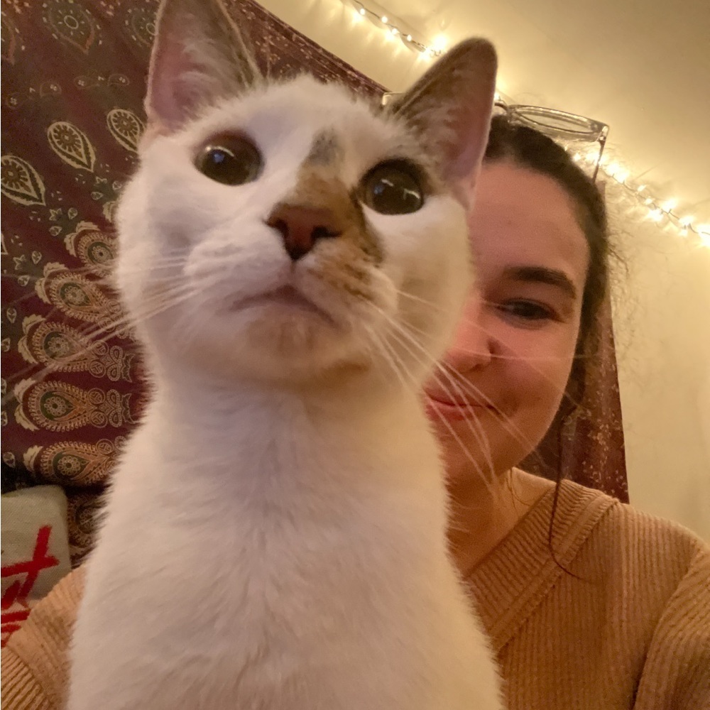 Meet your Posher, Nicole